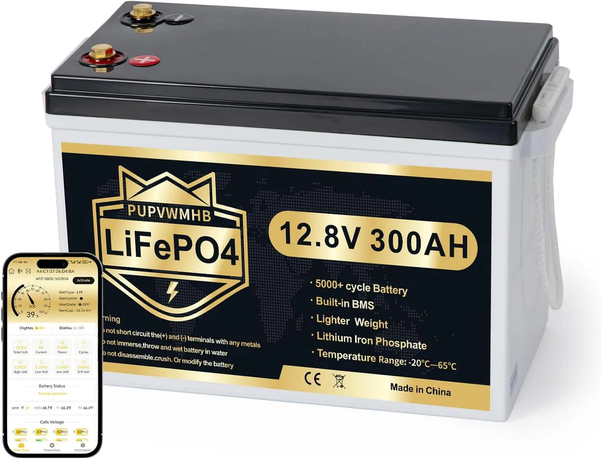 12 V, LiFePO4 12 V 300 Ah met Bluetooth BMS 200A batterij tot 15.000 cycli Max 3840 Wh lage temperatuurbescherming Deep Cycle compact design
