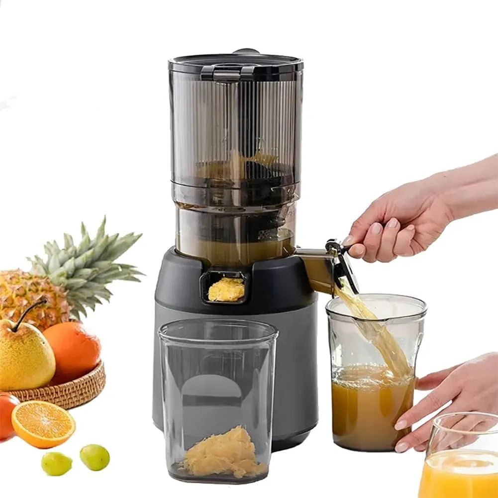 Koude Pers Masticating Juicer met 13cm Feeding Chute voor Fruit Groenten met 13cm, 300 W, waterreservoir en geluidsarme werking