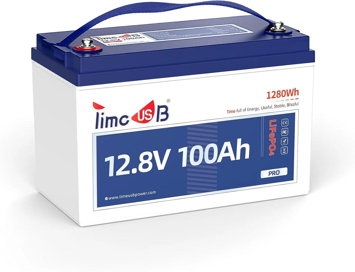 Timeusb 12V 100Ah Groep31 LiFePO4 Accu Groep31 LiFePO4 met 12V en 100Ah
