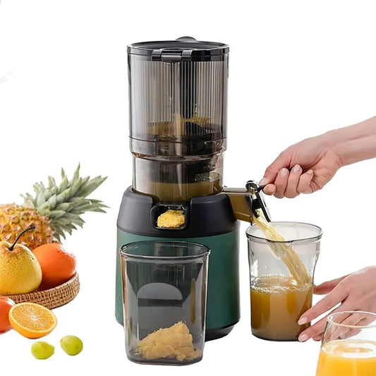 300 W Professionele Slow Juicer met 300 W, 13cm, 40 cm en RVS