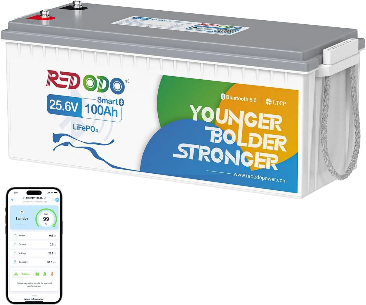 Redodo 24 V 100 Ah Bluetooth LiFePO4 batterij LiFePO4 met 24 V, 2560 Wh en Bluetooth